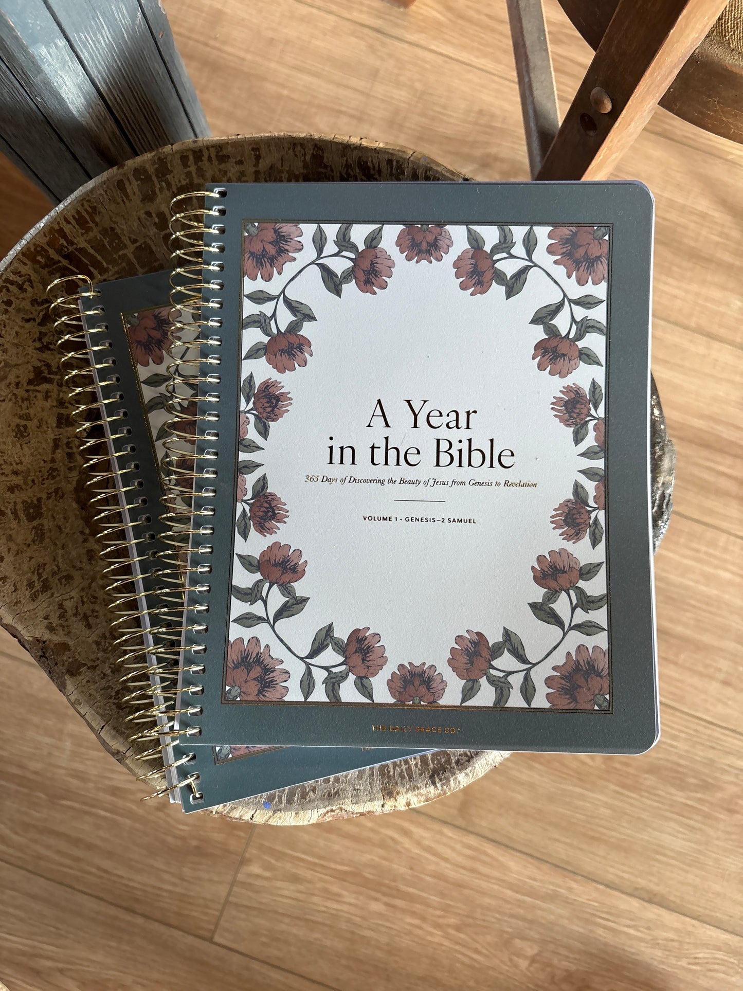 A year in the bible study