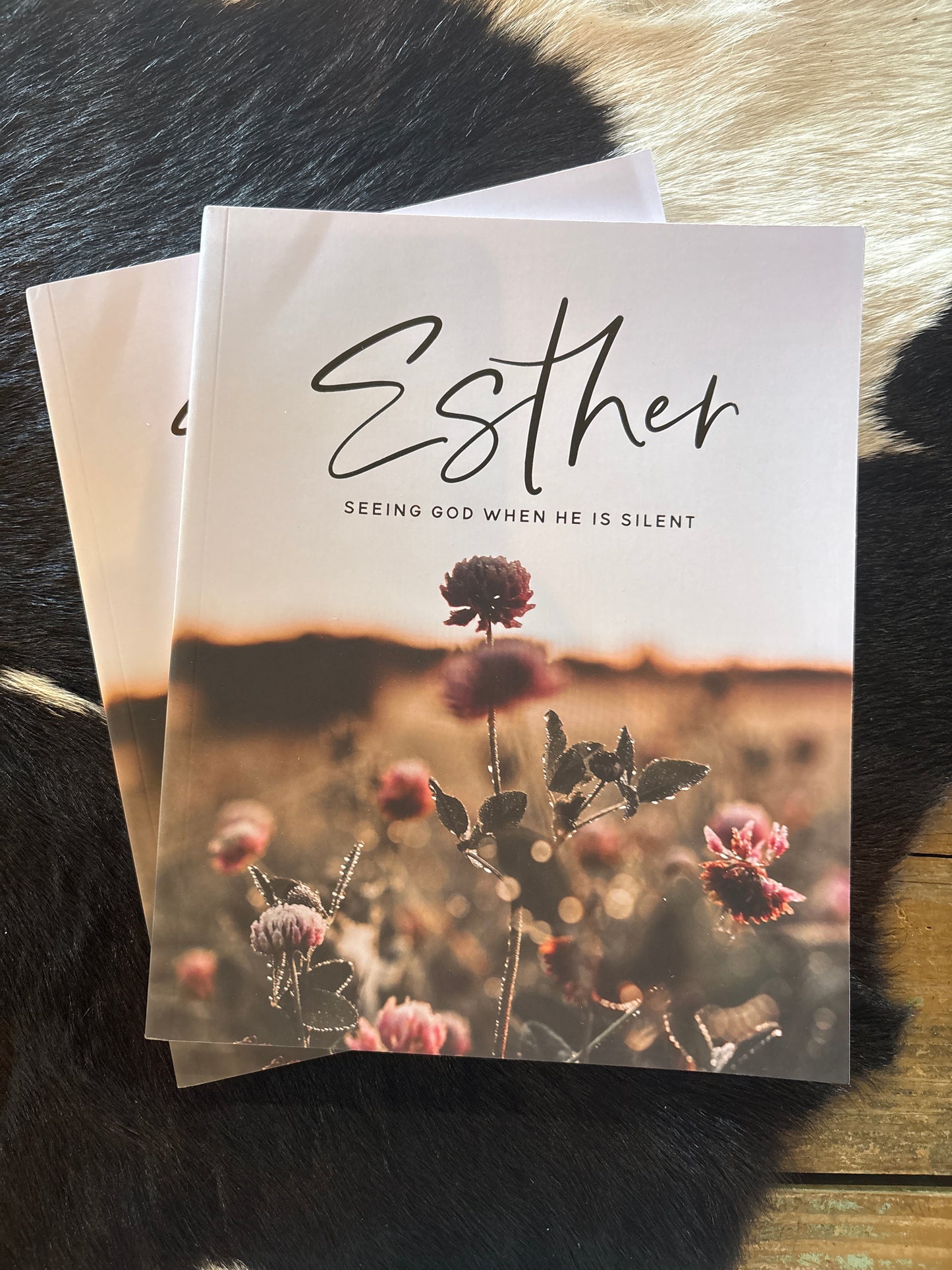 Esther Study