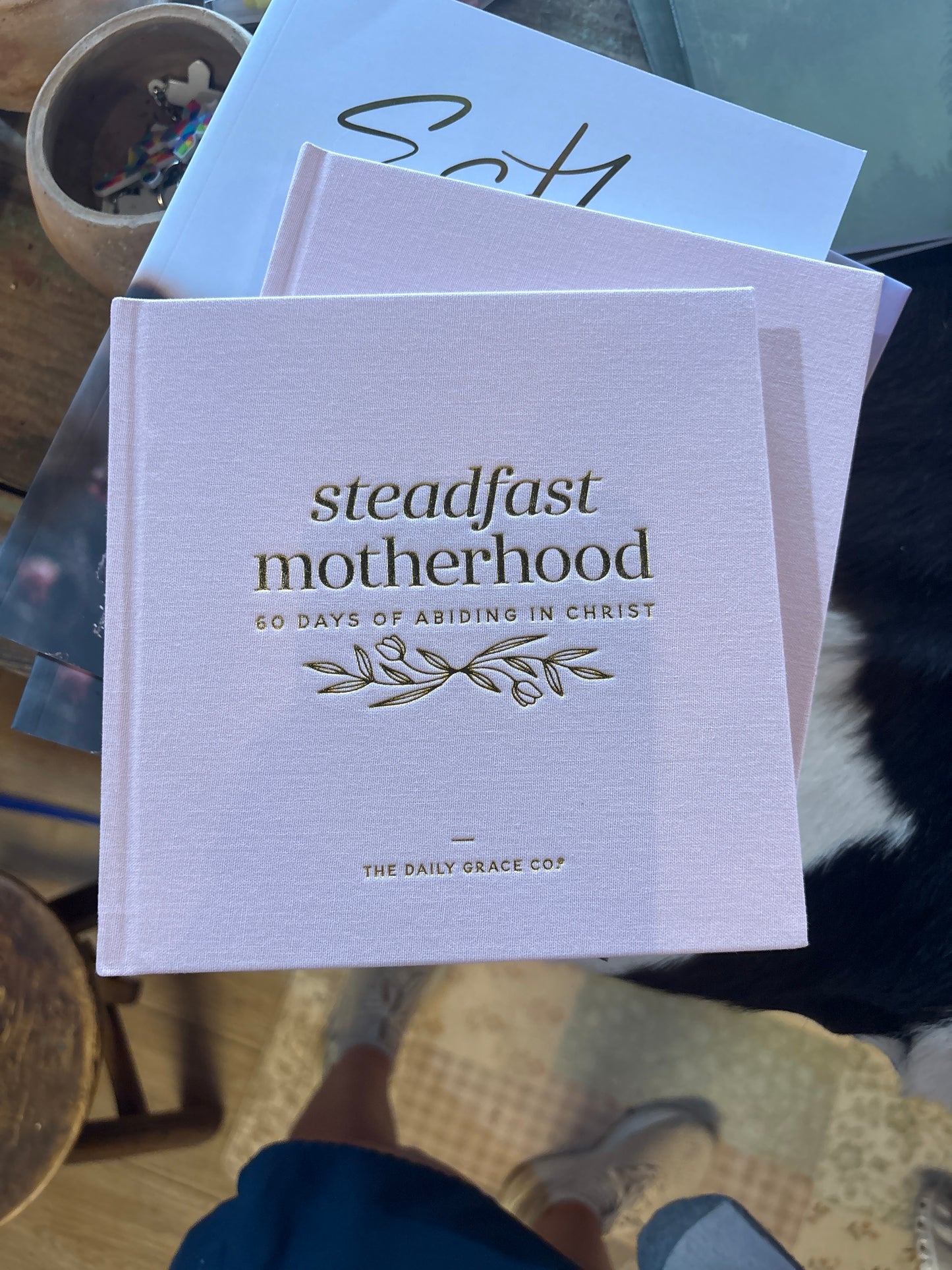 Steadfast motherhood Study (Pink)