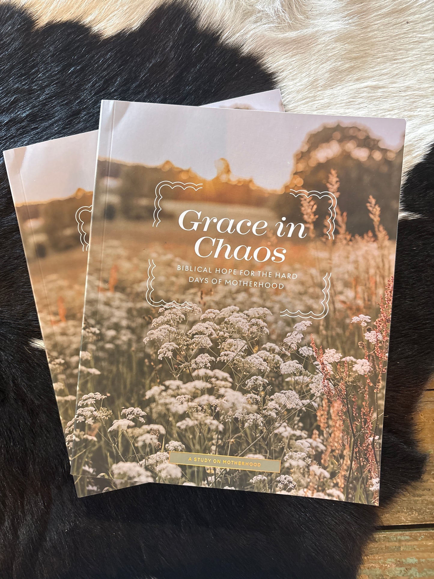 Grace in Chaos Study