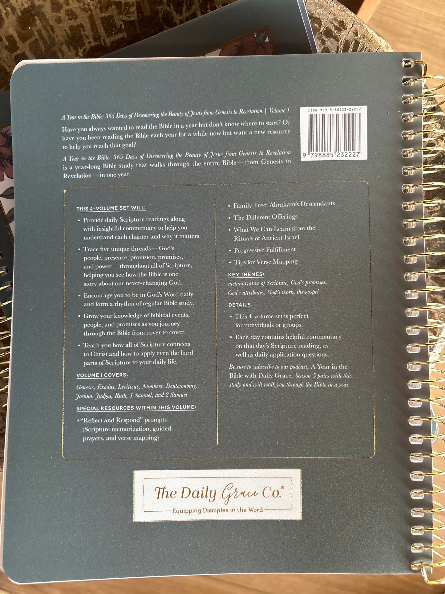 A year in the bible study