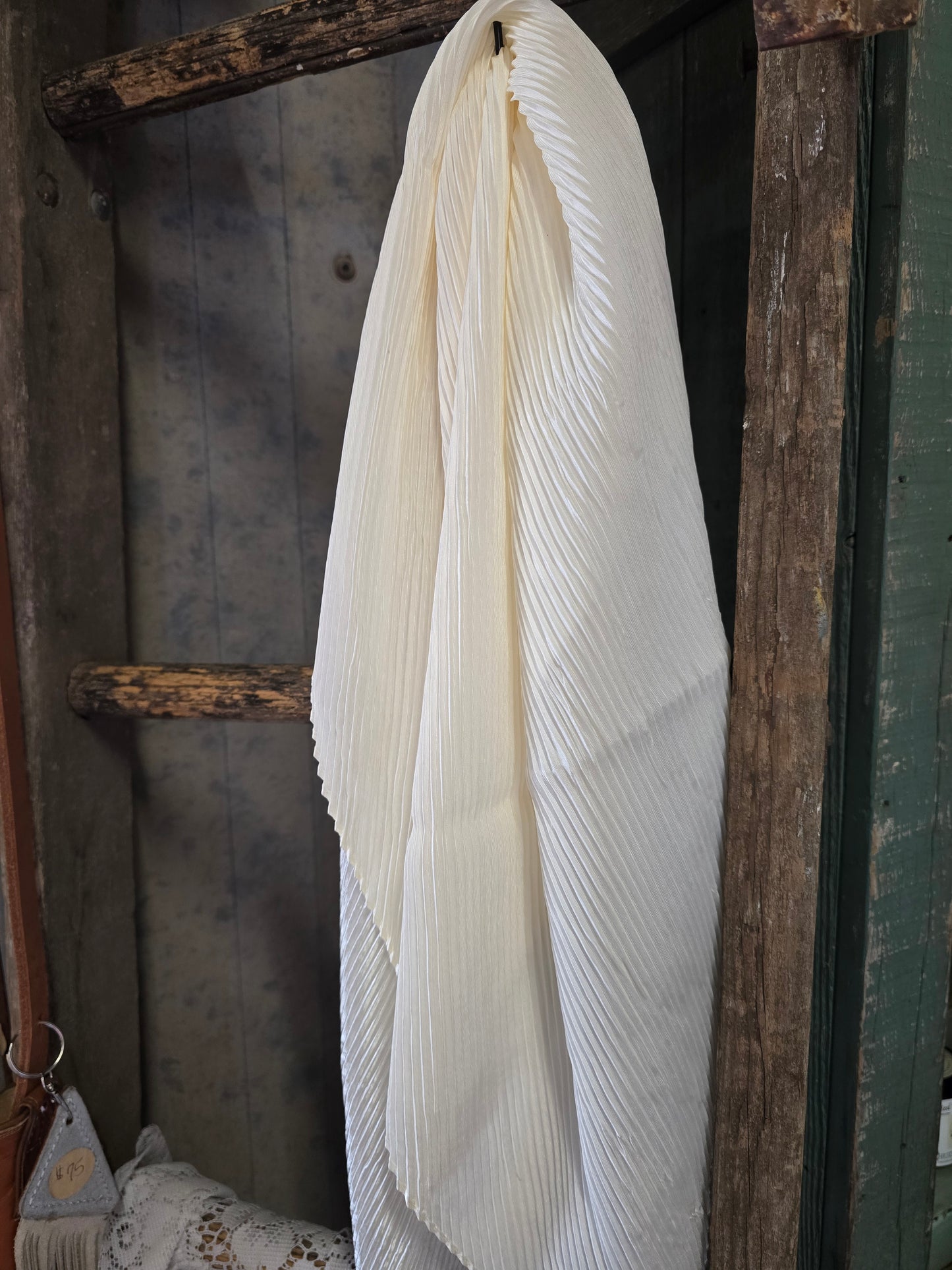 Wild Rags