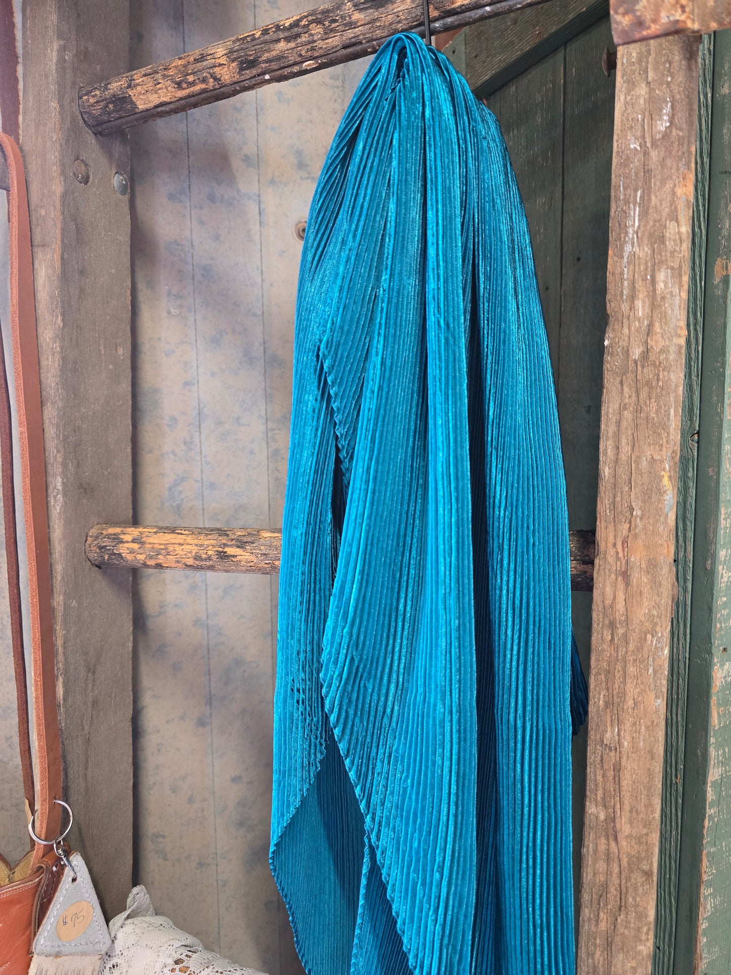 Wild Rags
